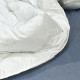 Ковдра стьобана Лебединий пух Вилюта Soft 200х220